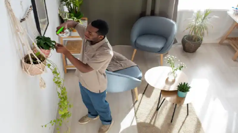 interior decoration tips mintpaldecor