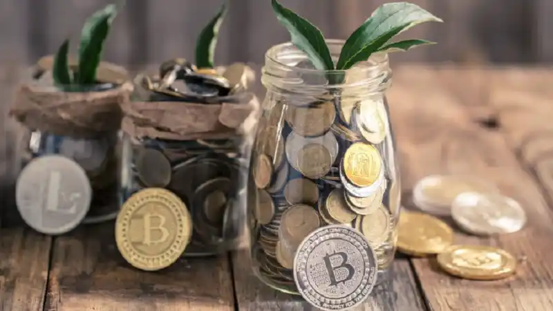 robthecoins investing