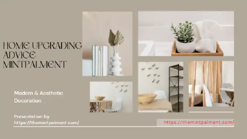 Home Upgrading Advice Mintpalment